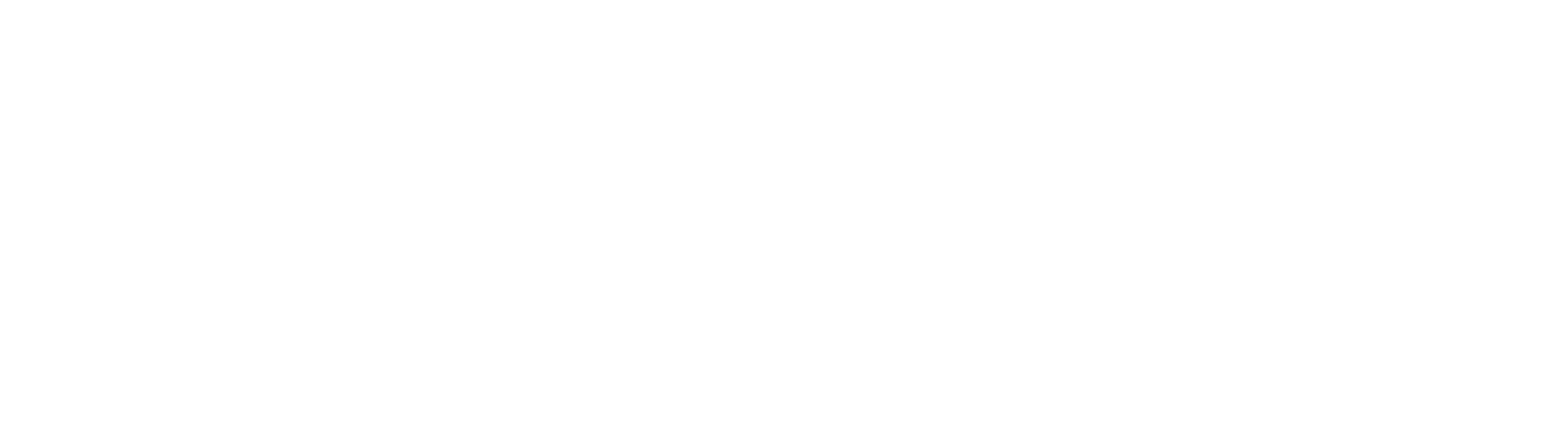 Strider